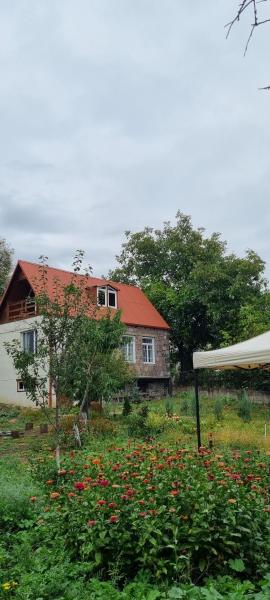 Hooni_guesthouse